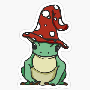 Meet your Posher, Rylee